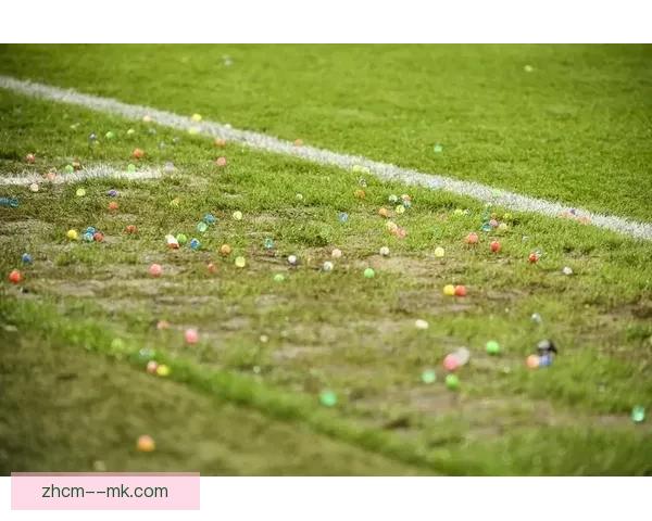 2026世界杯发布环保出行指南 鼓励球迷使用公共交通绿色前往球场 2026世界杯发布环保出行指南 鼓励球迷使用公共交通绿色前往球场