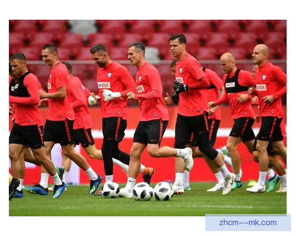 葡萄牙主场狂胜波兰轻松晋级世界杯八强 展现强大实力